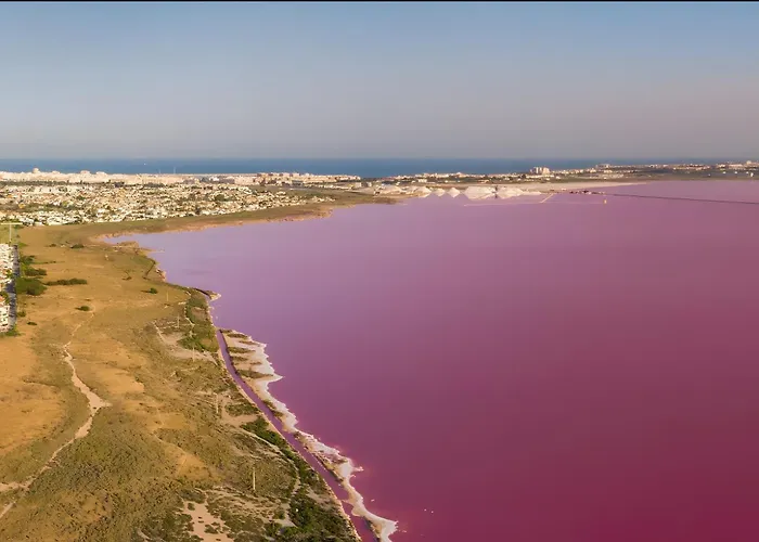 Azalea Ii Torrevieja